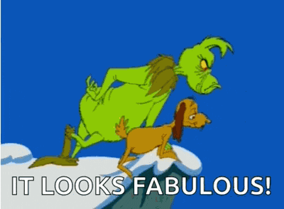 Grinch And Max GIF