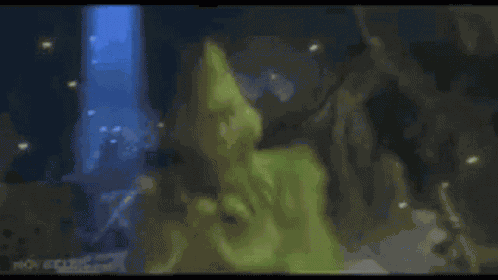 Grinch Jim GIF