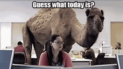 Grind Wednesday GIF