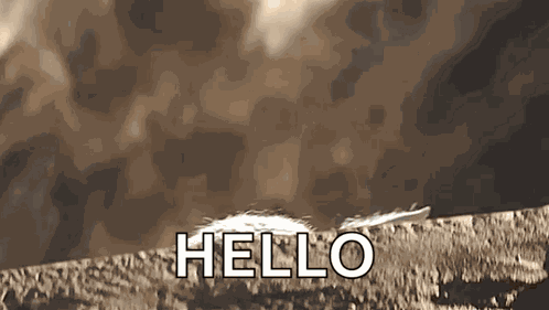 Grogu Star Wars GIF