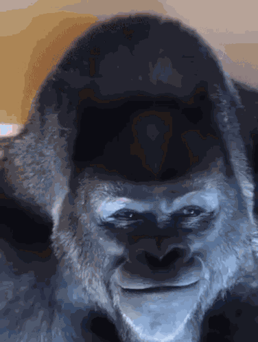Groilla Creepy GIF