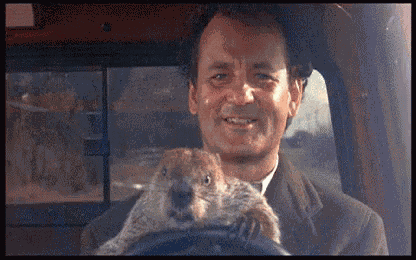 Groundhog Day Driving GIF
