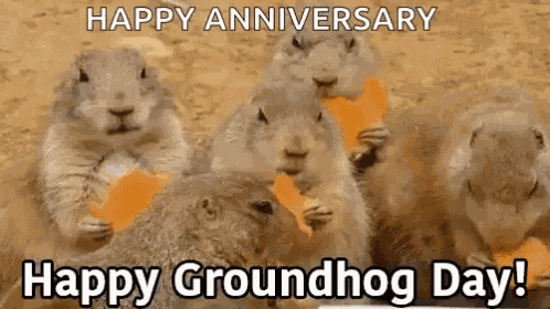 Groundhog Day Eating GIF