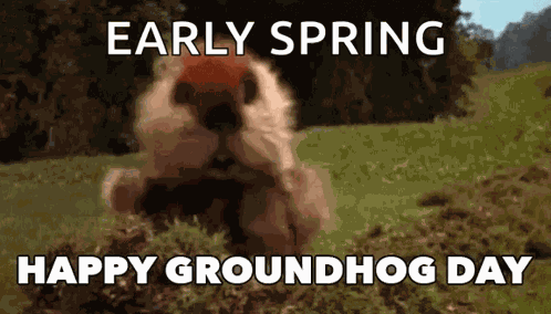 Groundhog Day Groundhogs Day GIF
