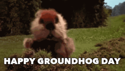 Groundhog Day Groundhogs Day GIF