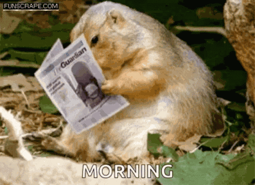 Groundhog Day GIF