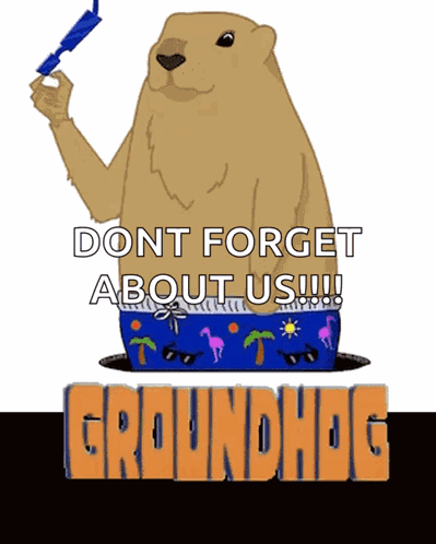 Groundhog Day GIF