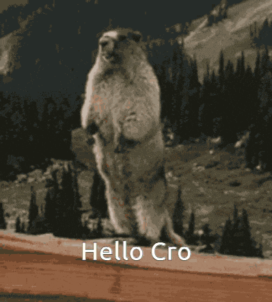 Groundhog Hello GIF