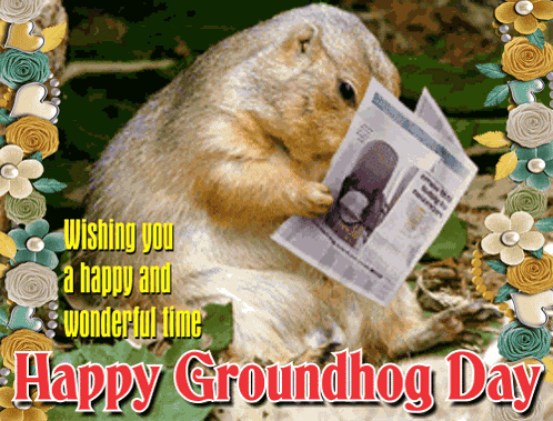 Groundhog Prairie Dog GIF