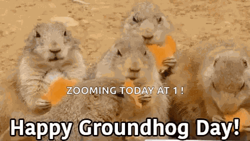 Groundhogday Eating GIF