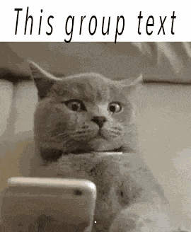 Group Text Cat GIF