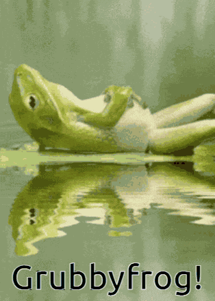 Grubbyfrog Grubbyfrogvl GIF