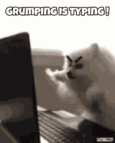 Grumpy Artofsingularity Grumpings GIF
