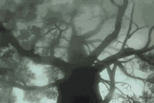 Grunge Fairycore GIF