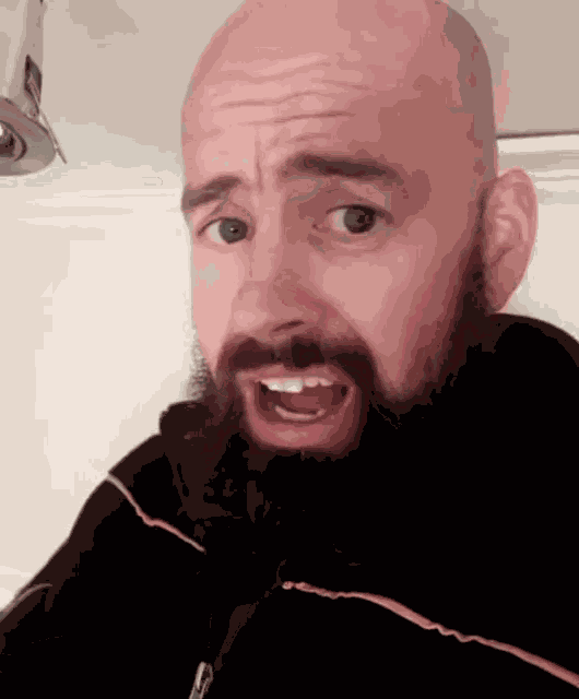 Grunta Head Shake GIF