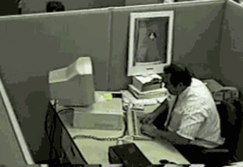 Guaton Computadora GIF