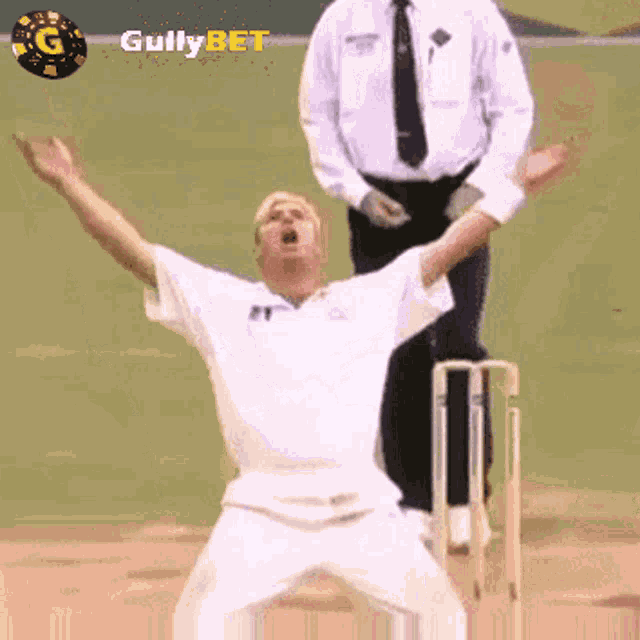Gullybet Cricket GIF