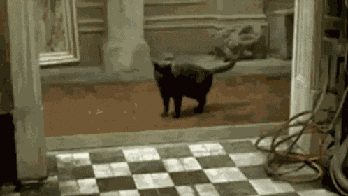 Gummy Bear Gummy Bears GIF