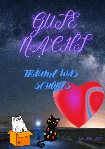Gute Nach Träume Was Schönes GIF