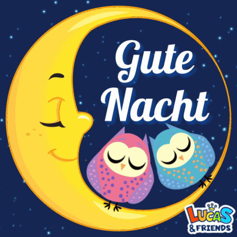Gute Nacht Gutenacht GIF