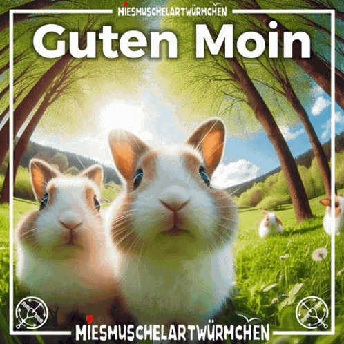 Guten Moin Moin Moin GIF