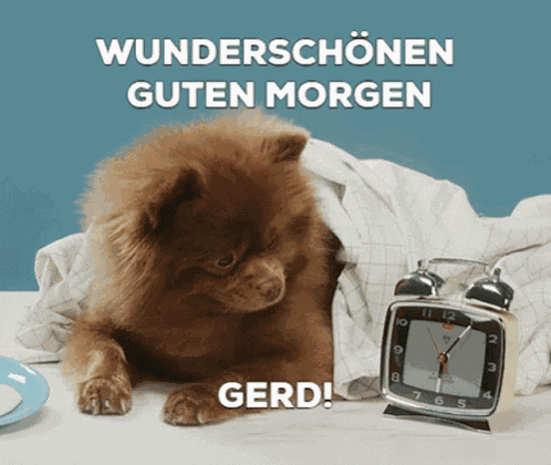 Guten Morgen Gerd Good Morning GIF