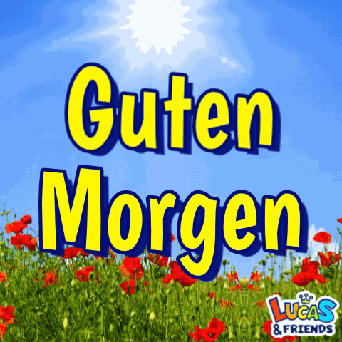 Guten Morgen Guten Morgen Liebe GIF