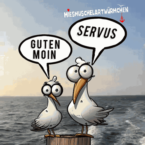 Guten Morgen Hallo GIF