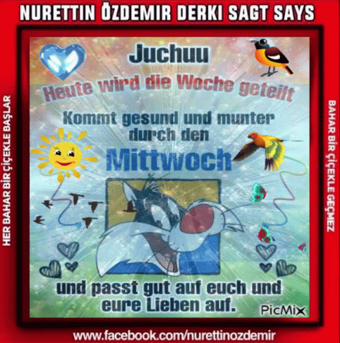 Guten Morgen Happy Mitwoch GIF