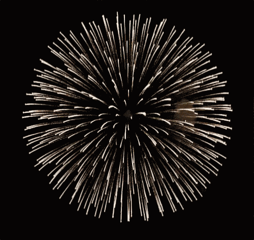 Guten Rutsch Mit Feuerwerk GIF