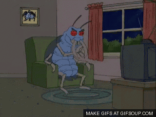 Guy GIF