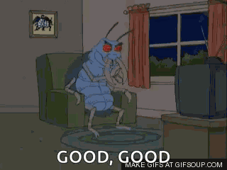 Guy GIF