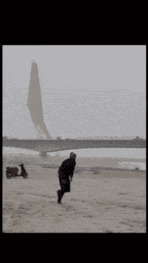 Guy Jumping In Beach Meme Instagram Reel GIF