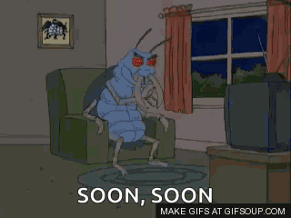 Guy GIF