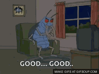 Guy GIF