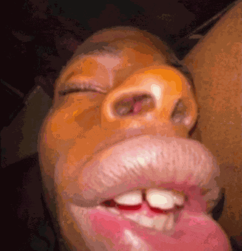 Guy Sleeping Catching Bugs Meme