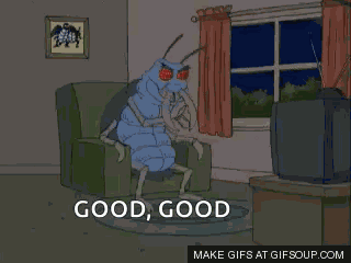 Guy GIF