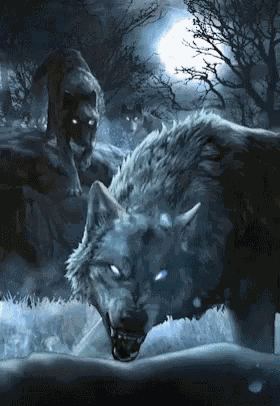 Gwent Gwentcard GIF