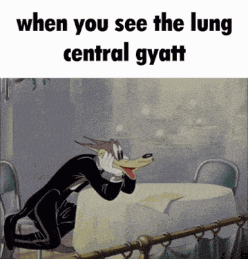 Gyatt Lung Central GIF