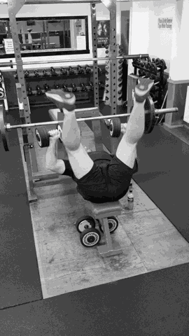 Gym Gym Time GIF