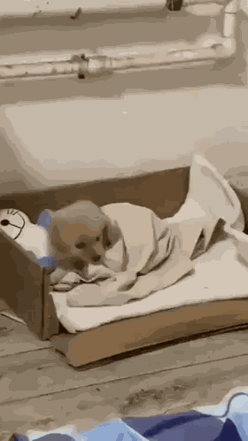 H2di Puppy Sleeping GIF