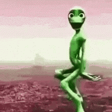 Hadasa GIF