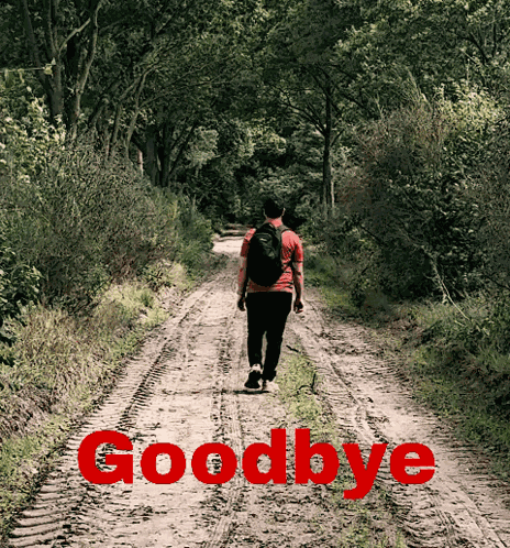 Hady Hadymotion GIF