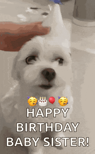 Haetnim Haetnim Funny GIF