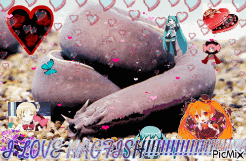 Hagfish Love GIF