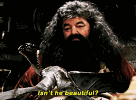 Hagrid Beautiful GIF