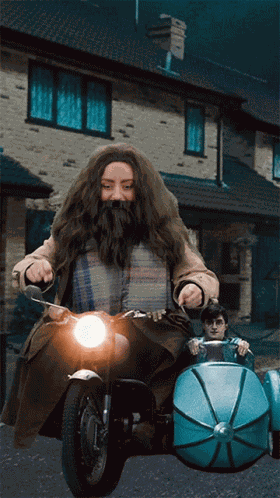 Hagrid Driving GIF