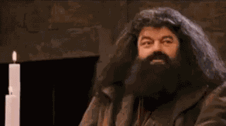 Hagrid Harry GIF