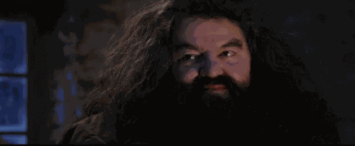 Hagrid Harry Potter GIF