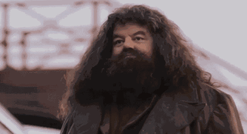Hagrid Harry Potter GIF